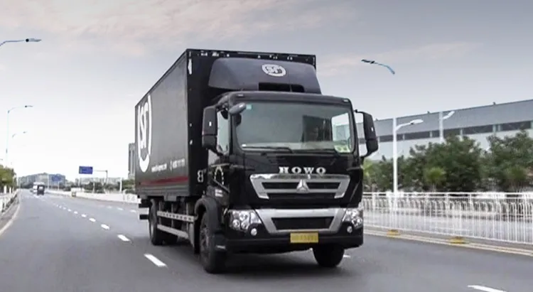Howo TX 4X2 Cargo Truck 2