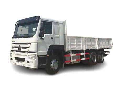 HOWO Cargo Truck