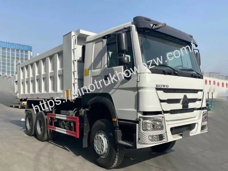 Howo Truck Engine Detail